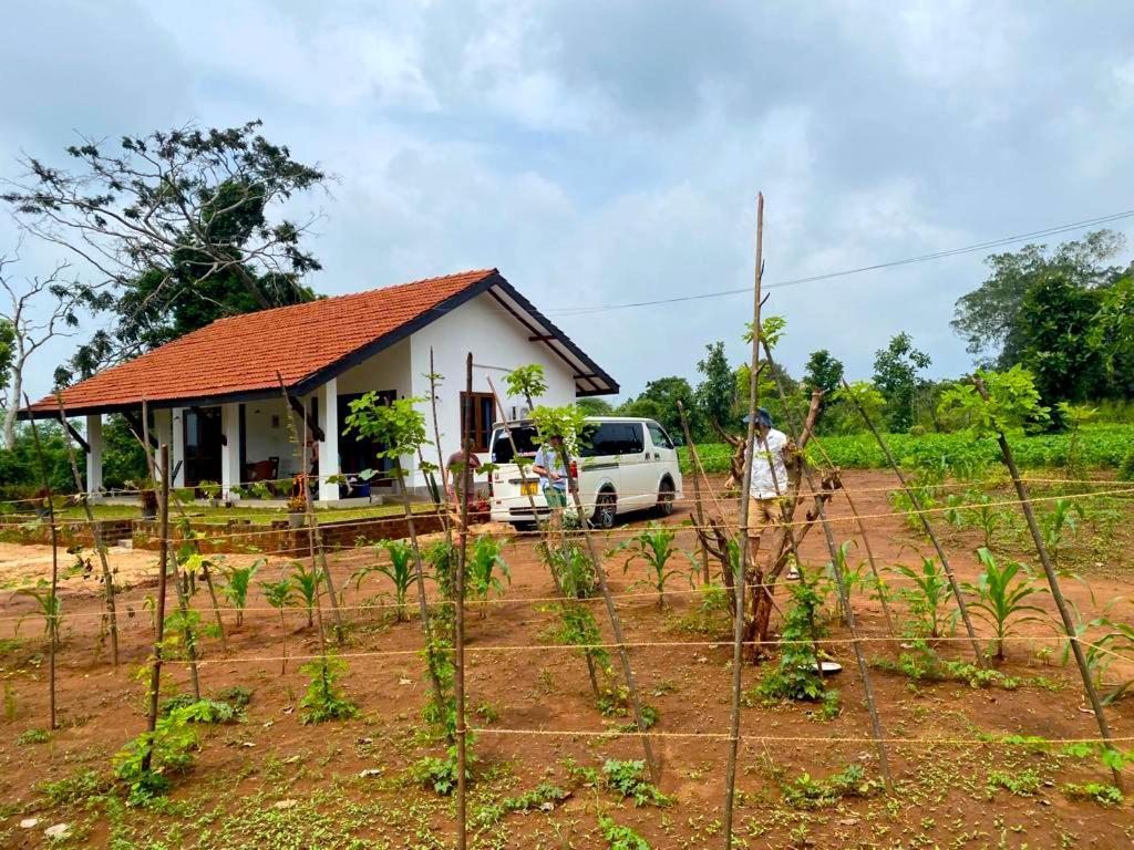 Moni Farm House Wilpattu Nochchiyagama Extérieur photo