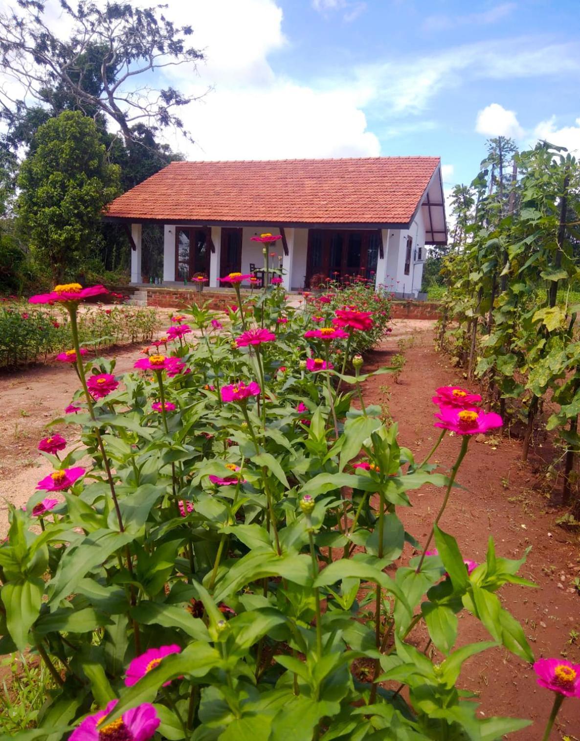 Moni Farm House Wilpattu Nochchiyagama Extérieur photo