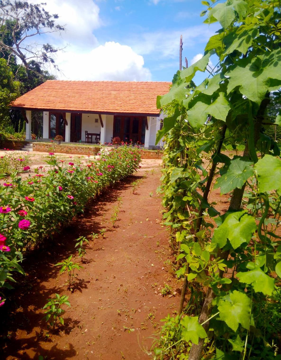 Moni Farm House Wilpattu Nochchiyagama Extérieur photo