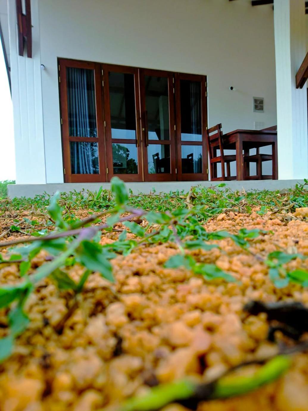 Moni Farm House Wilpattu Nochchiyagama Extérieur photo